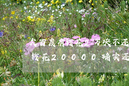 欠百度有钱花2万块不还会怎么样(欠百度有钱花20000确实还不上怎么办)