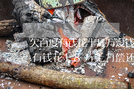 欠百度有钱花十几万没钱还被起球-欠百度有钱花18万无力偿还