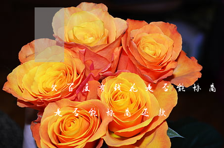 欠百度有钱花是否能协商还款(欠百度有钱花是否能协商还款)