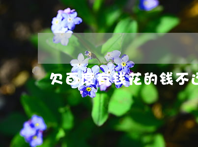 欠百度有钱花的钱不还会怎么样