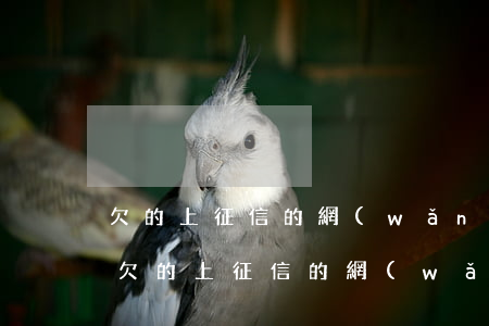 欠的上征信的網(wǎng)貸會被起訴嗎(欠的上征信的網(wǎng)貸會被起訴嗎)