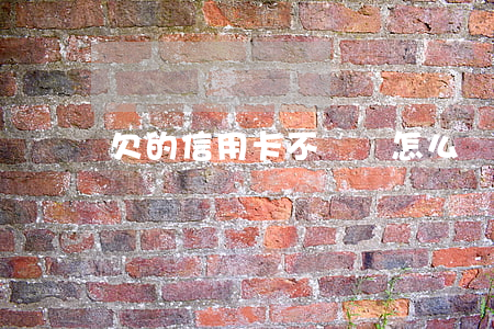 欠的信用卡不還會怎么辦(欠信用卡不還會怎樣)