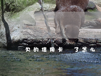 欠的信用卡丟了怎么辦
