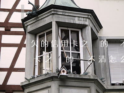 欠的信用卡之類的還不清怎么辦-欠的信用卡之類的還不清怎么辦呢