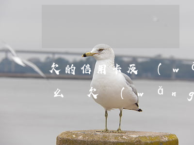欠的信用卡及網(wǎng)貸還不上了怎么辦(欠網(wǎng)貸是不是辦不了信用卡)