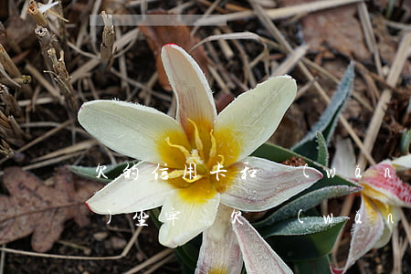 欠的信用卡和網(wǎng)貸會(huì)坐牢嗎(欠網(wǎng)貸信用卡會(huì)不會(huì)坐牢)