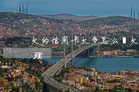 欠的信用卡太多怎么辦(欠太多信用卡怎么處理)