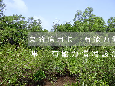 欠的信用卡沒有能力償還了怎么辦(信用卡如果沒有能力償還該怎么辦)