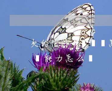 欠的信用卡沒還會怎樣(如果欠信用卡沒有償還能力怎么辦)