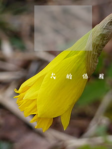 欠的信用卡没还银行会自动扣吗-