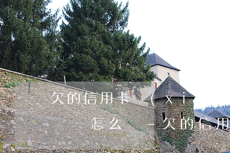 欠的信用卡現(xiàn)在無(wú)力償還怎么辦-欠的信用卡現(xiàn)在無(wú)力償還怎么辦呢