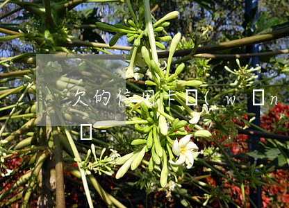 欠的信用卡網(wǎng)貸人死了還要還嗎-