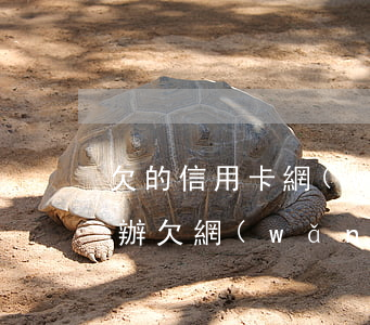 欠的信用卡網(wǎng)貸還不上了怎么辦(欠網(wǎng)貸是不是辦不了信用卡)