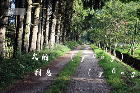 欠的撫養(yǎng)費(fèi)有延期利息嗎（撫養(yǎng)費(fèi)逾期要付利息嗎）