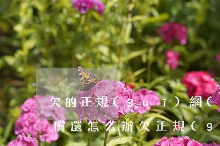 欠的正規(guī)網(wǎng)貸 無力償還怎么辦(欠正規(guī)網(wǎng)貸沒錢還怎么辦)