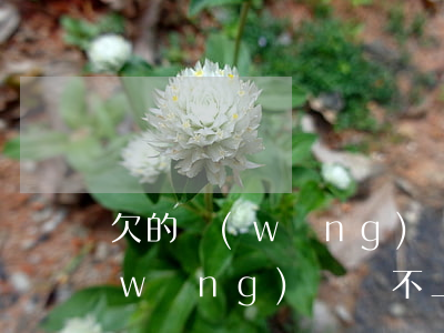 欠的網(wǎng)貸不還會變老賴嗎(網(wǎng)貸還不上會變成老賴嗎)