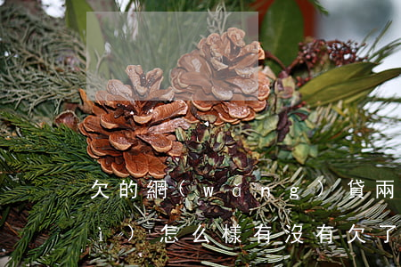 欠的網(wǎng)貸兩年沒還了會(huì)怎么樣(有沒有欠了網(wǎng)貸幾年沒還的)