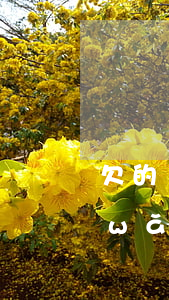 欠的網(wǎng)貸可以要求代付嗎(網(wǎng)貸可以代辦嗎)