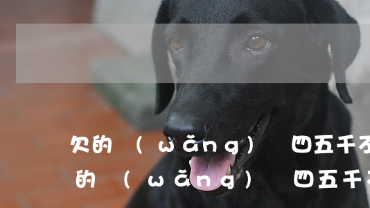 欠的網(wǎng)貸四五千不還會怎樣(欠的網(wǎng)貸四五千不還會怎樣)