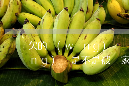 欠的網(wǎng)貸國家會免嗎(網(wǎng)貸是不是被國家禁止了)