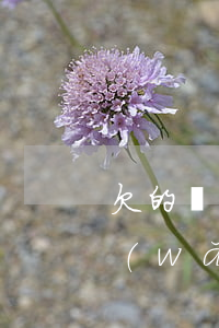 欠的網(wǎng)貸坐牢了怎么辦(欠的網(wǎng)貸坐牢了怎么辦)