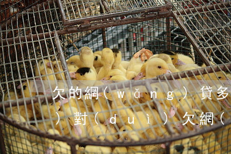 欠的網(wǎng)貸多怎么應(yīng)對(duì)(欠網(wǎng)貸欠太多最好處理辦法)