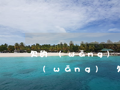 欠的網(wǎng)貸太多不記得了怎么辦(網(wǎng)貸欠錢(qián)太多還不了怎么辦)