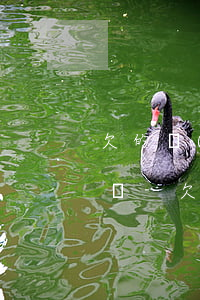 欠的網(wǎng)貸家里幫還怎么和父母說-欠的網(wǎng)貸家里幫還怎么和父母說呢