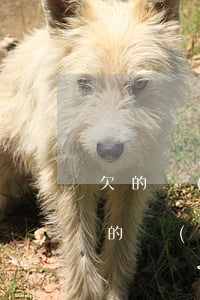 欠的網(wǎng)貸幾年了沒管也沒催(欠的網(wǎng)貸幾年了沒管也沒催)