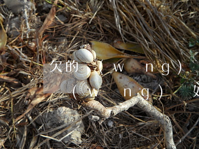 欠的網(wǎng)貸怎么和家里坦白的(欠網(wǎng)貸如何和家里坦白)