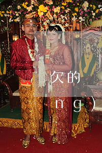 欠的網(wǎng)貸怎么能還清(網(wǎng)貸到底能不能還清)