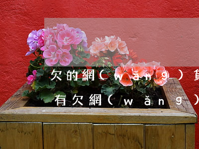 欠的網(wǎng)貸真的可以不還嗎(有沒有欠網(wǎng)貸一直不還的)