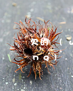 欠的網(wǎng)貸要起訴我(欠網(wǎng)貸可以起訴嗎)