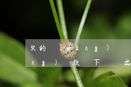 欠的網(wǎng)貸賬單消失了(網(wǎng)貸款沒下,賬單出來了怎么處理)