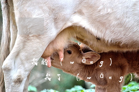 欠的網(wǎng)貸還不上了怎么跟家里說(欠了網(wǎng)貸還不上不知道怎么辦)