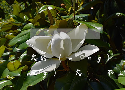 欠的網(wǎng)貸還不上咋辦(網(wǎng)貸欠錢還不上怎么辦)