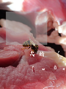 欠的網(wǎng)貸還不上怎么辦(欠款網(wǎng)貸還不上怎么辦)