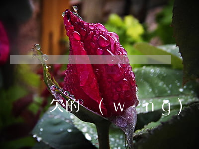 欠的網(wǎng)貸還不上想死