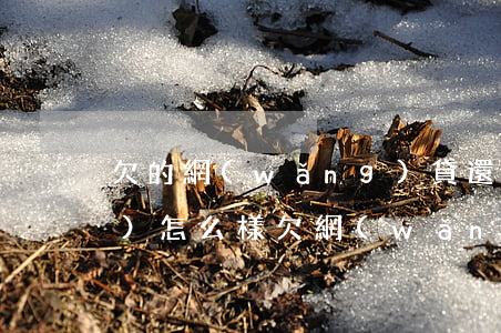 欠的網(wǎng)貸還不起了會(huì)怎么樣(欠網(wǎng)貸還不上會(huì)怎樣)