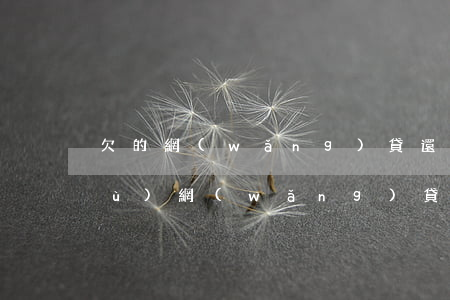 欠的網(wǎng)貸還完有什么證據(jù)(網(wǎng)貸還完有什么憑據(jù)嗎)