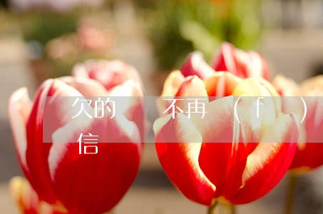 欠的網貸不再發(fā)短信了(網貸欠款短信)