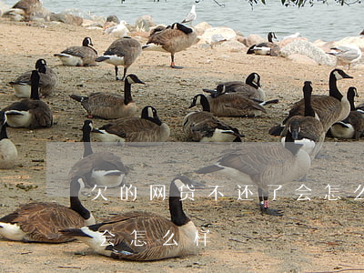 欠的网贷不还了会怎么样(欠了很多网贷不还会怎么样)