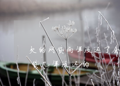 欠的网贷两年没还了会怎么样(有没有欠了网贷几年没还的)