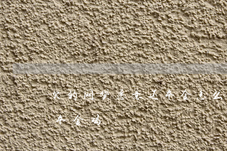 欠的网贷愿意还本金怎么办(欠网贷可以只还本金吗)