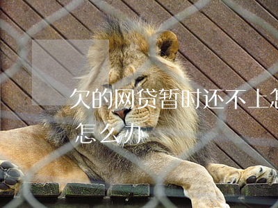 欠的网贷暂时还不上怎么办(欠了网贷还不上怎么办)