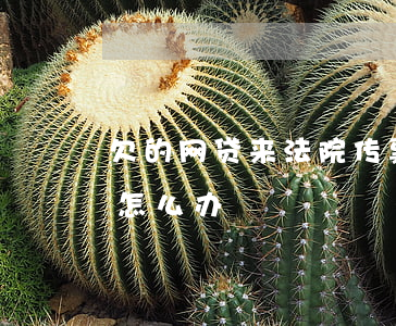 欠的网贷来法院传票(欠网贷收到传票让出庭怎么办)