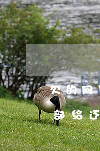 欠的网贷老婆全部给还完了(欠的网贷老婆全部给还完了)