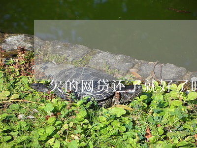 欠的网贷还了就好了吗(欠的网贷还用还吗)