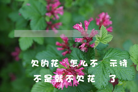 欠的花唄怎么不顯示待還(花唄沒有待還款,是不是就不欠花唄了?)
