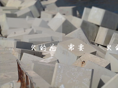 欠的花唄需要還嗎(欠的花唄需要還嗎)